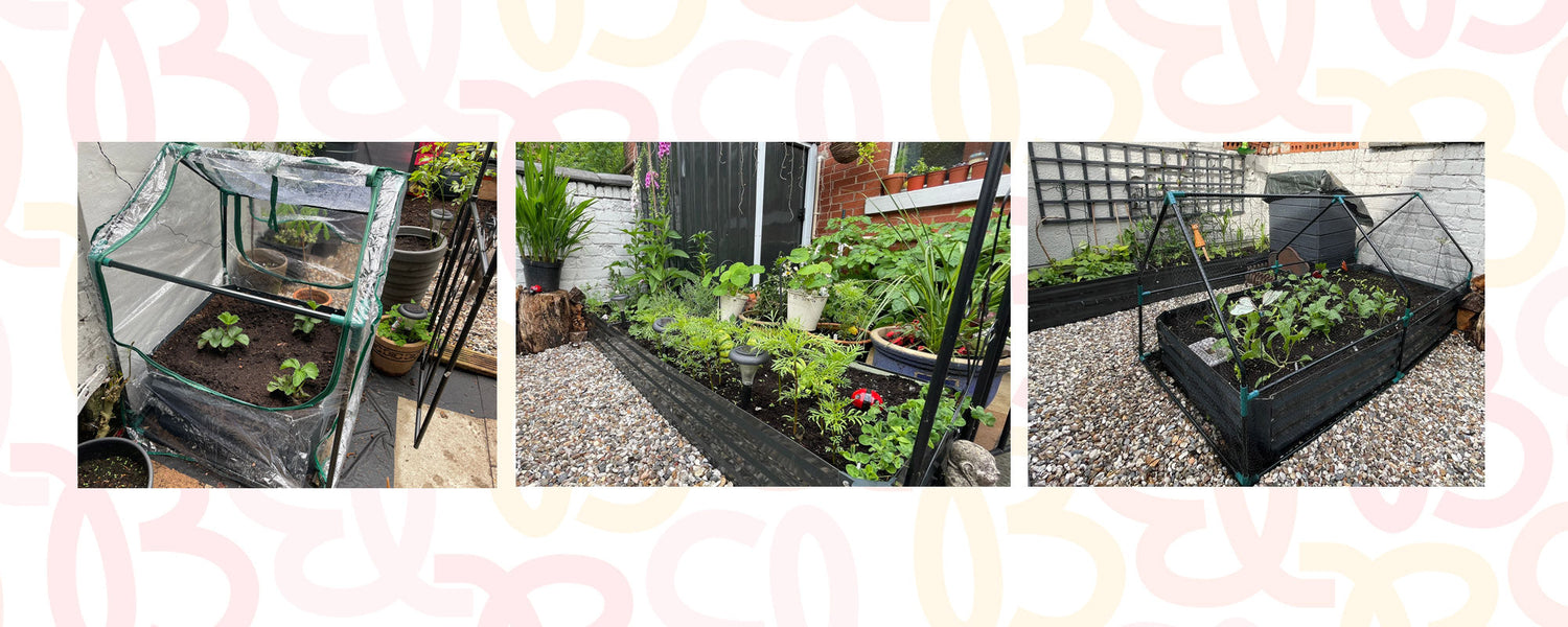 Introducing: Roots & Stories - Karen’s Garden