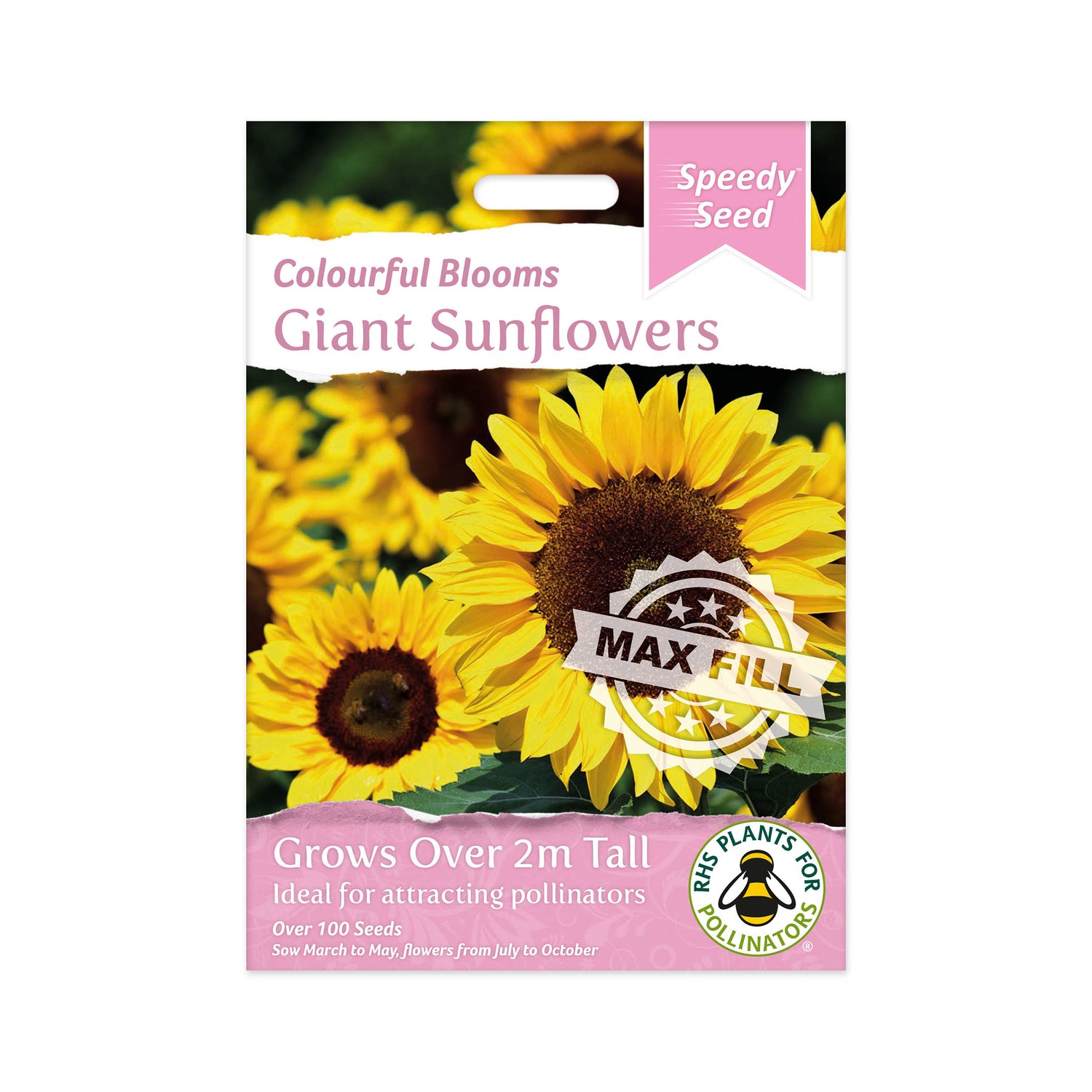 Speedy Seed® Max-Fill Giant Sunflowers – Over 100 Seeds