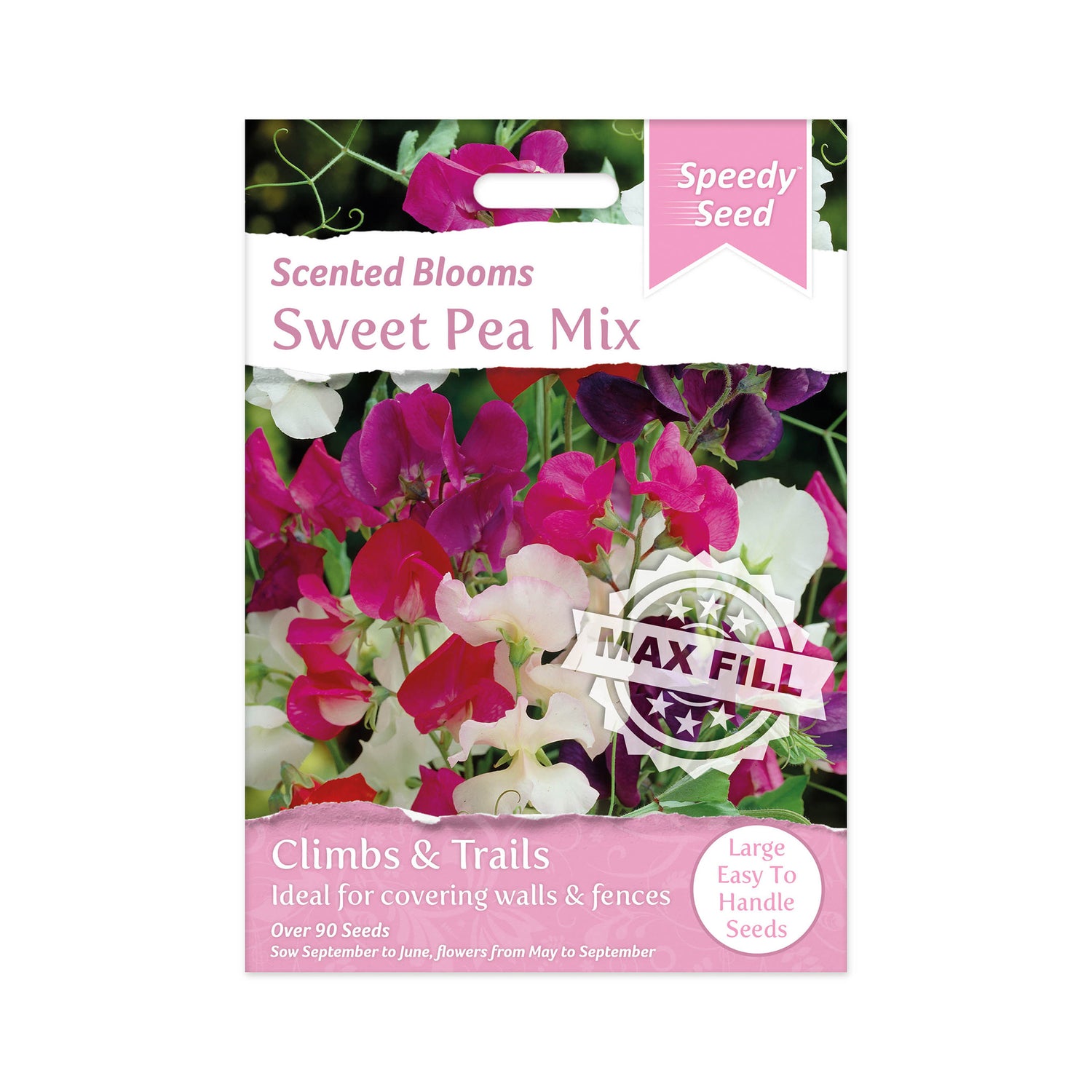 Speedy Seed® Max-Fill Sweet Pea Spencer Mix – Over 90 Seeds