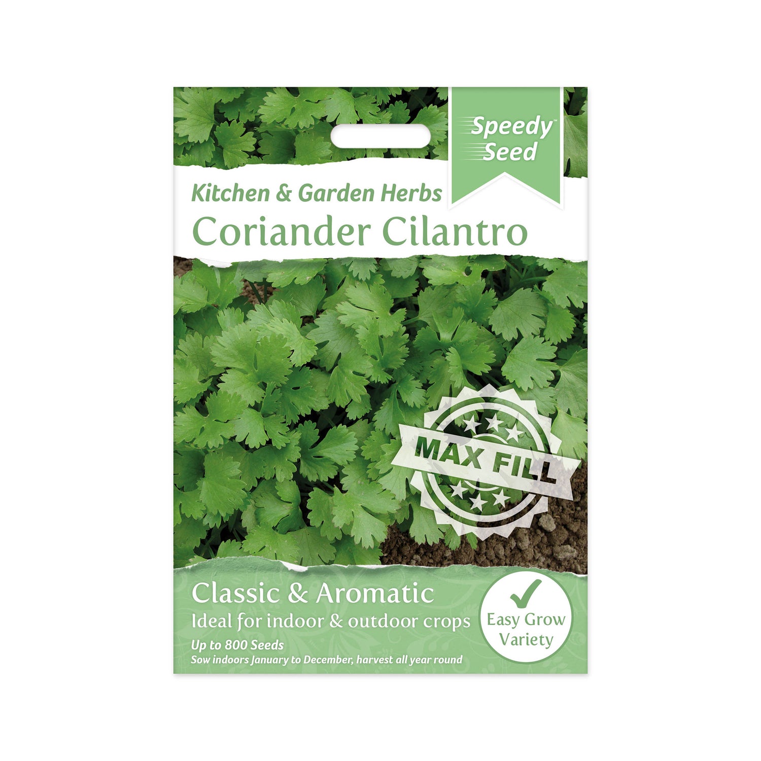 Speedy Seed® Max-Fill Coriander Cilantro - Up to 800 Seeds