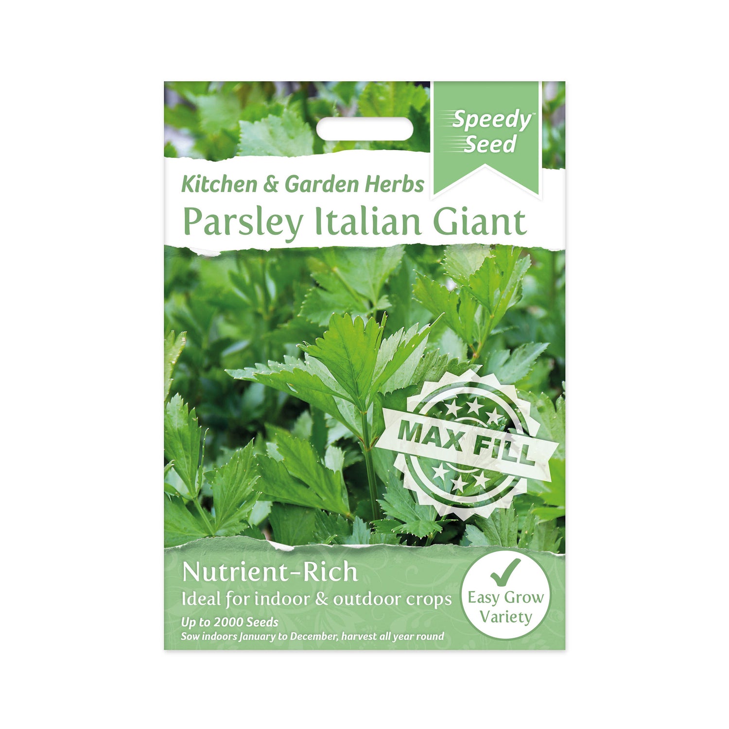 Speedy Seed® Max-Fill Parsley Italian Giant - Up to 2,000 Seeds