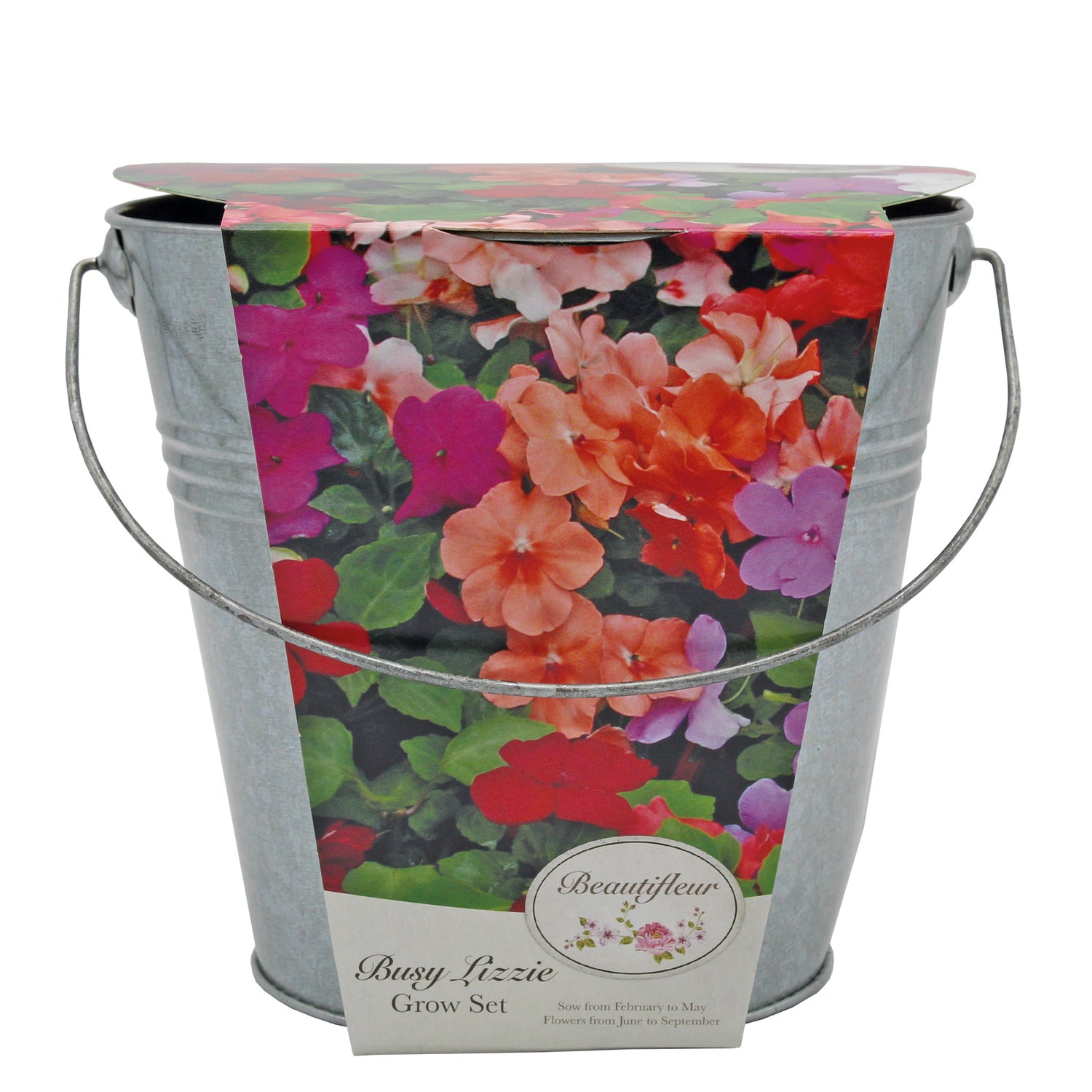 Beautifleur Busy Lizzie Seeds Grow Kit in Galvanised Bucket Planter