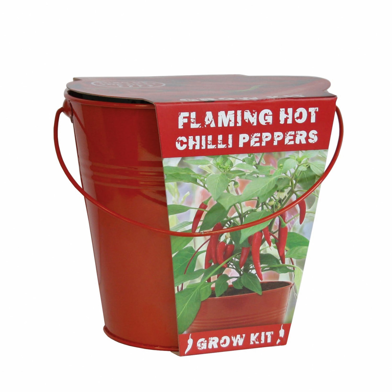 Sow Nurtured Cayenne Chilli Seeds Grow Kit in Red Bucket Planter