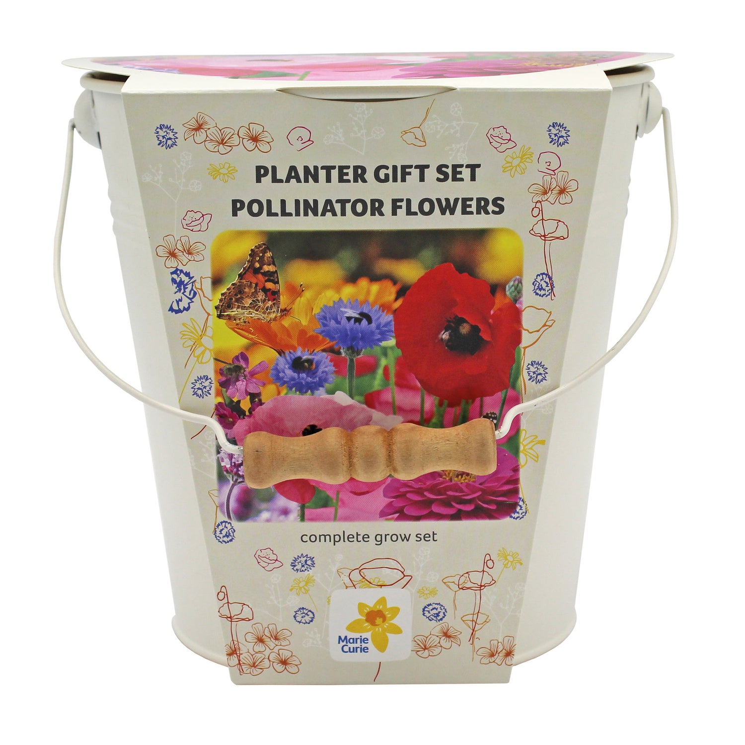 Marie Curie Pollinator Flower Seeds Grow Kit in Cream Bucket Planter