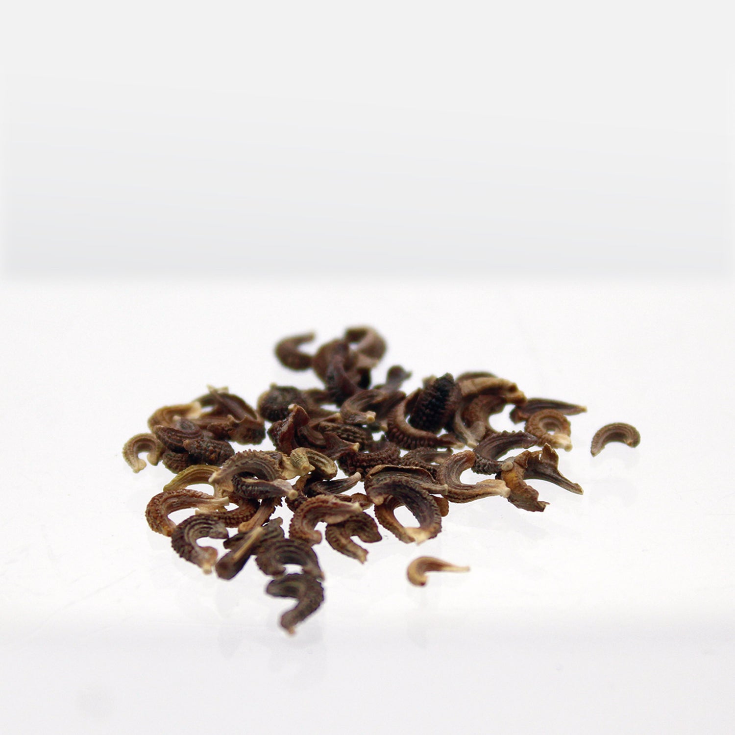 Speedy Seed® Max-Fill Pot Marigold Cut Flower Mix - Up to 750 Seeds