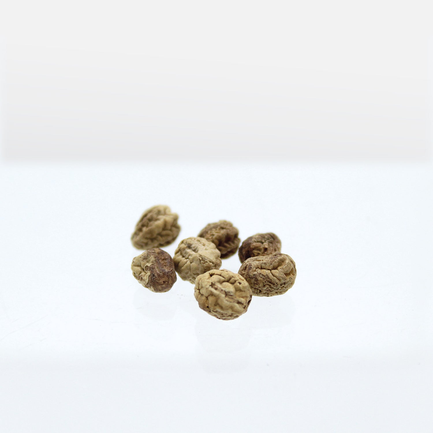 Speedy Seed® Max-Fill Nasturtium Double Gleam Mix - Up to 80 Seeds