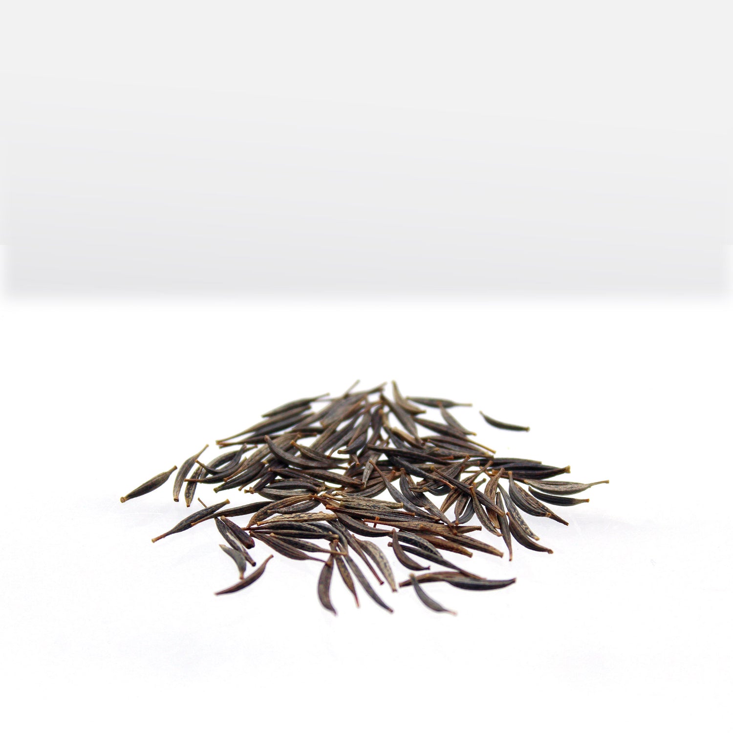 Speedy Seed® Max-Fill Cosmos Candy Stripe Mix – Up to 750 Seeds