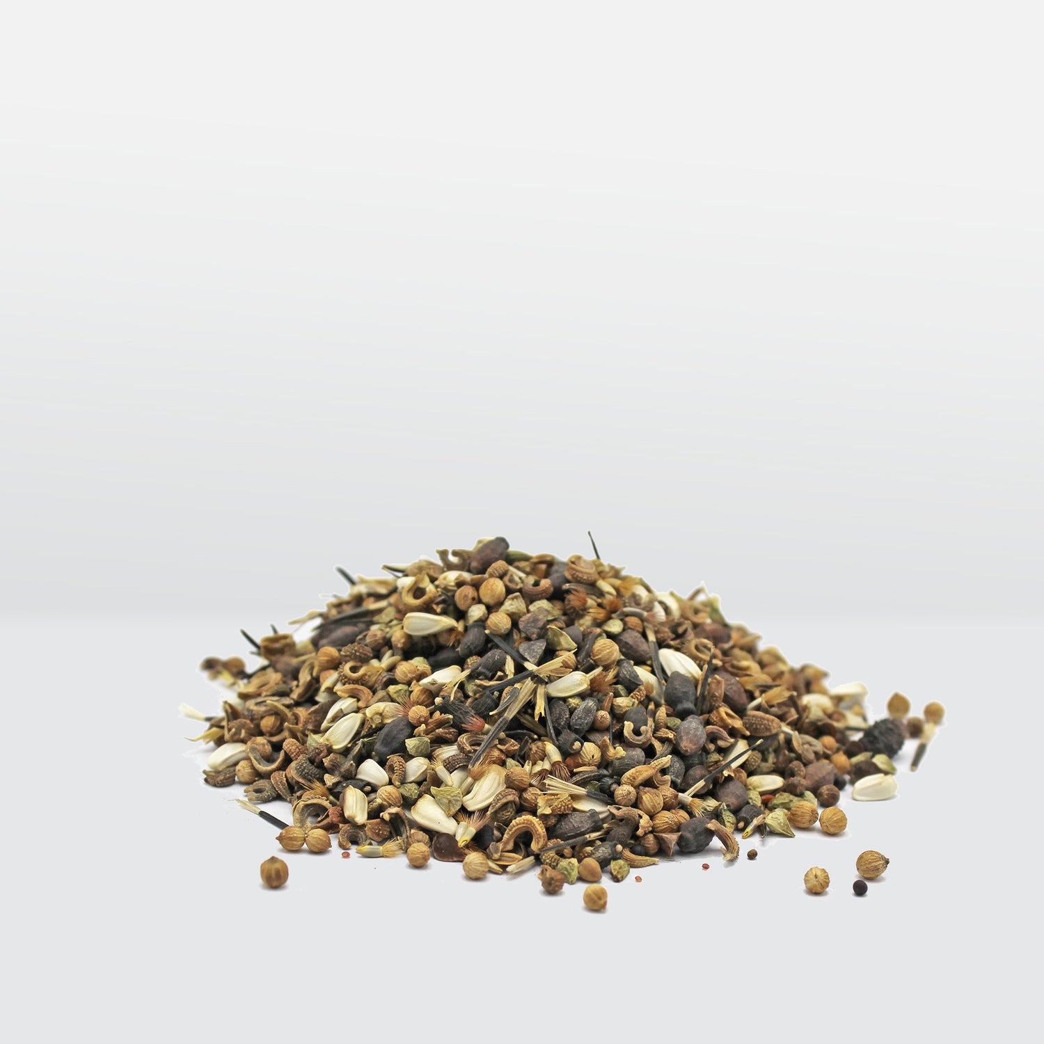 Speedy Seed® Max-Fill Wildflower Mix – Over 5,000 Seeds