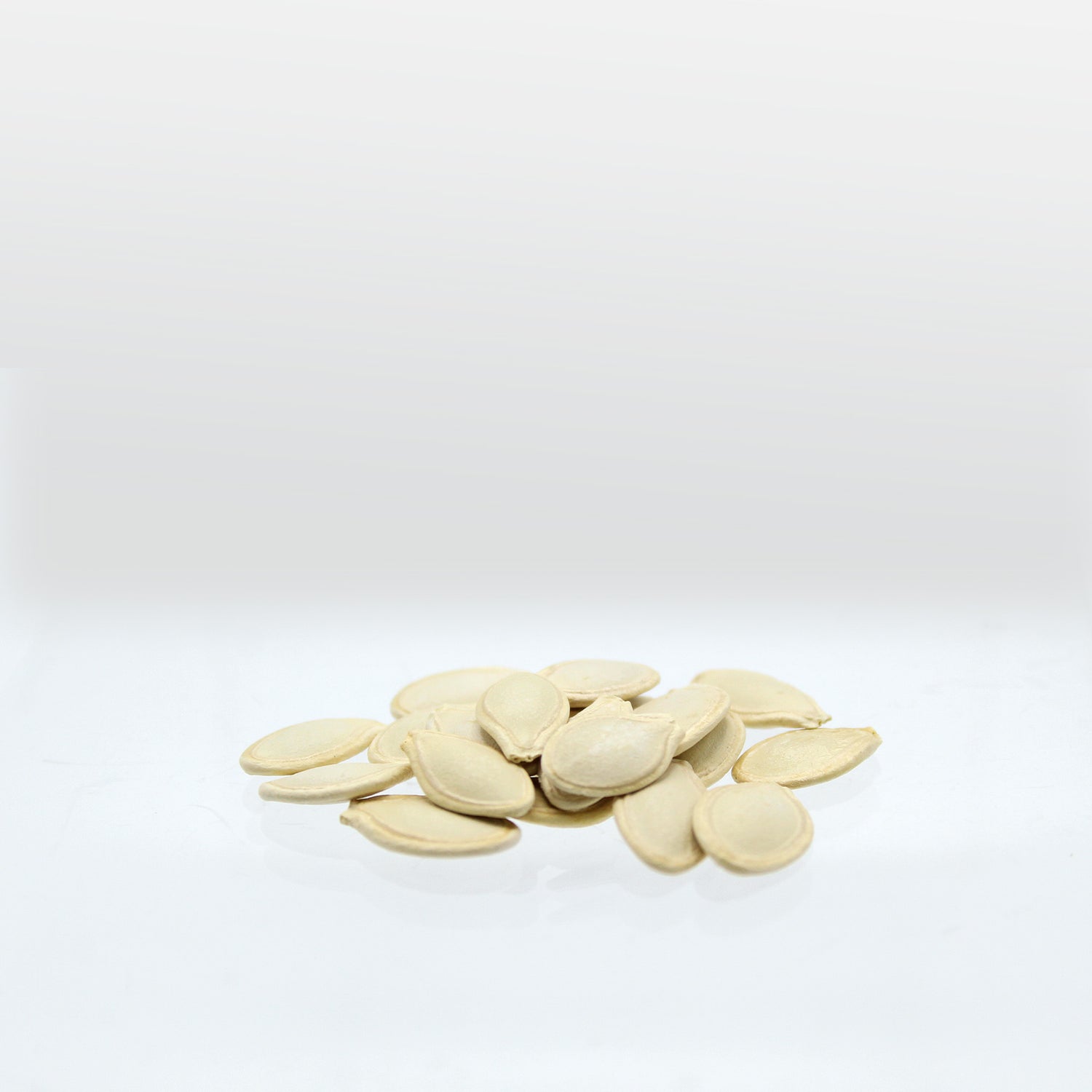 Speedy Seed® Max-Fill Courgette Green Bush - Up to 25 Seeds