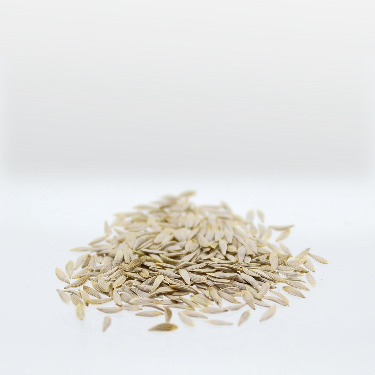 Speedy Seed® Max-Fill Lettuce Salad Mix - Up to 4,000 Seeds