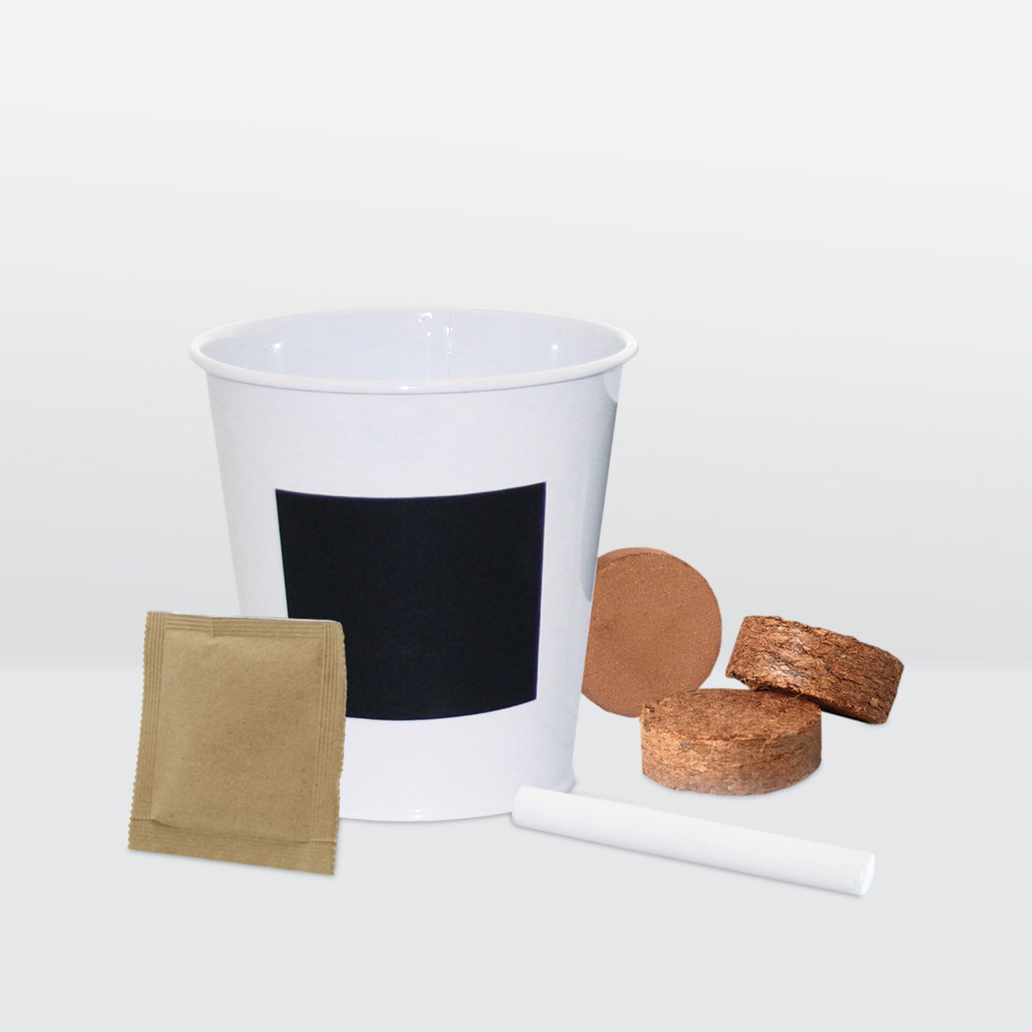 Marie Curie Sweet Pea Bijou Dwarf Mix Seeds Grow Kit in Chalkboard Pot