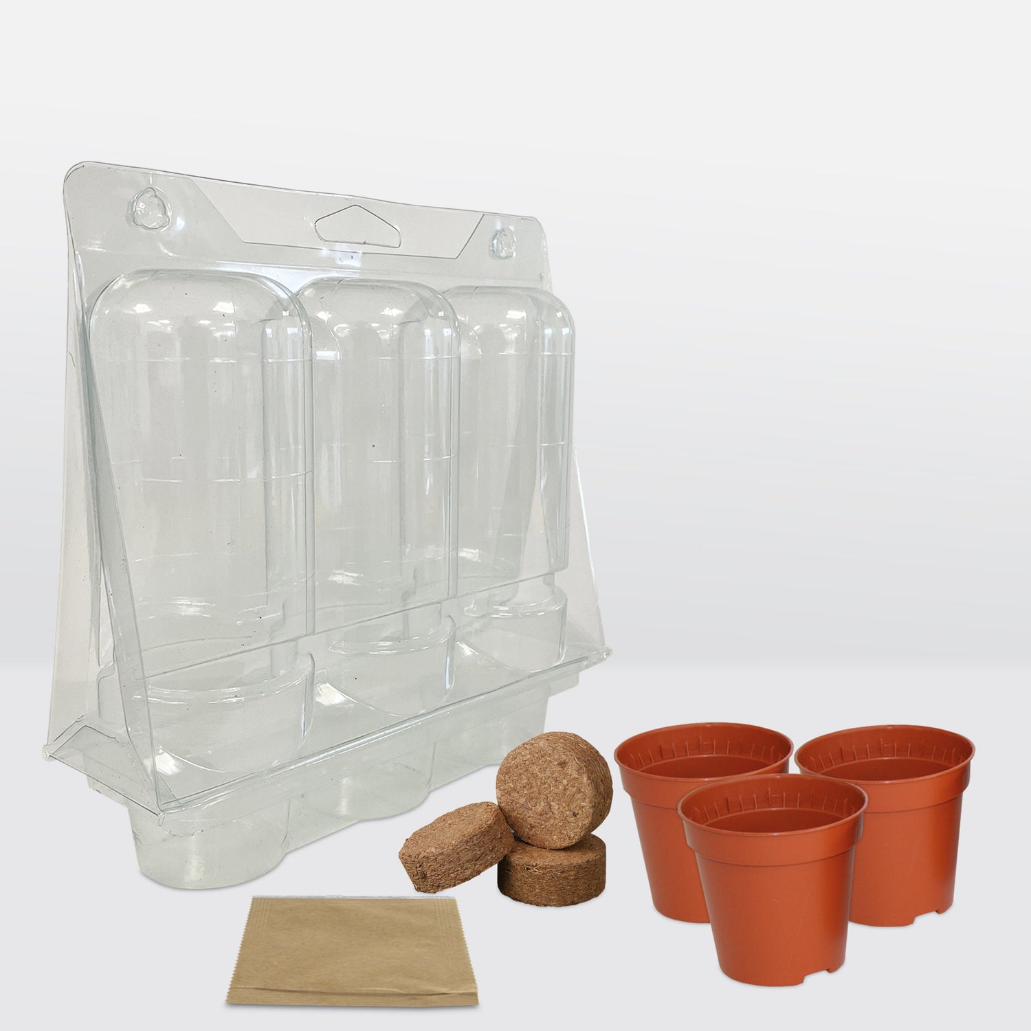 Speedy Seed® Sunflower Seeds Sunflower Race Grow Kit