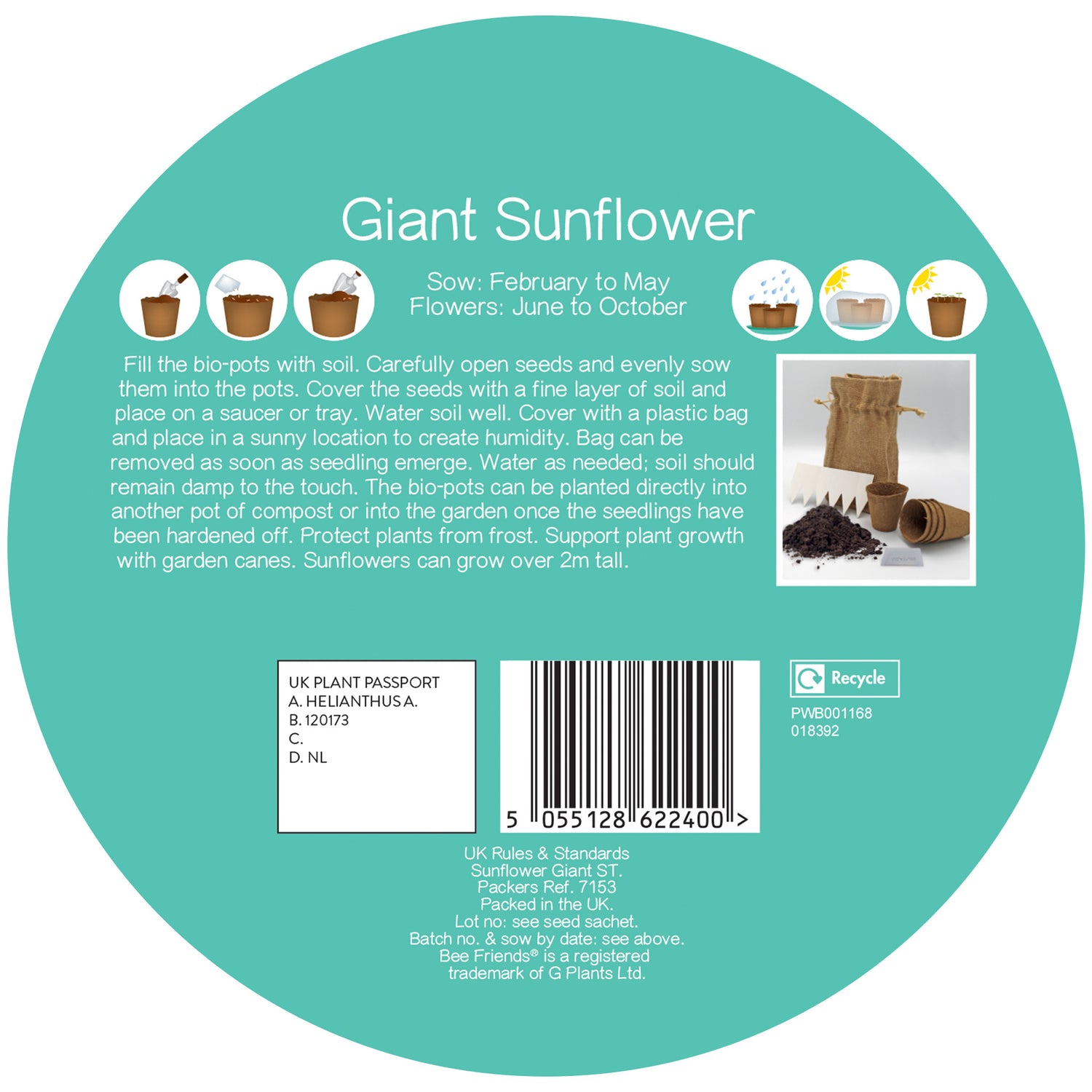 Bee Friends Sunflower Seeds Grow Kit in Jute Bag