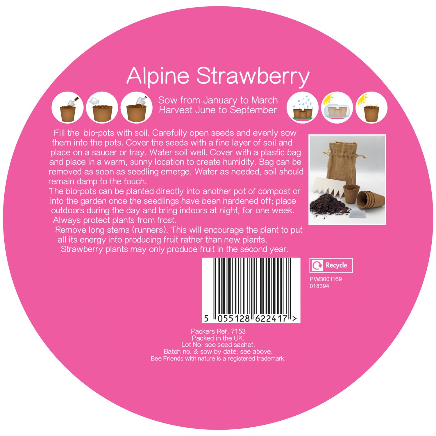 Bee Friends Strawberry Seeds Grow Kit in Jute Bag