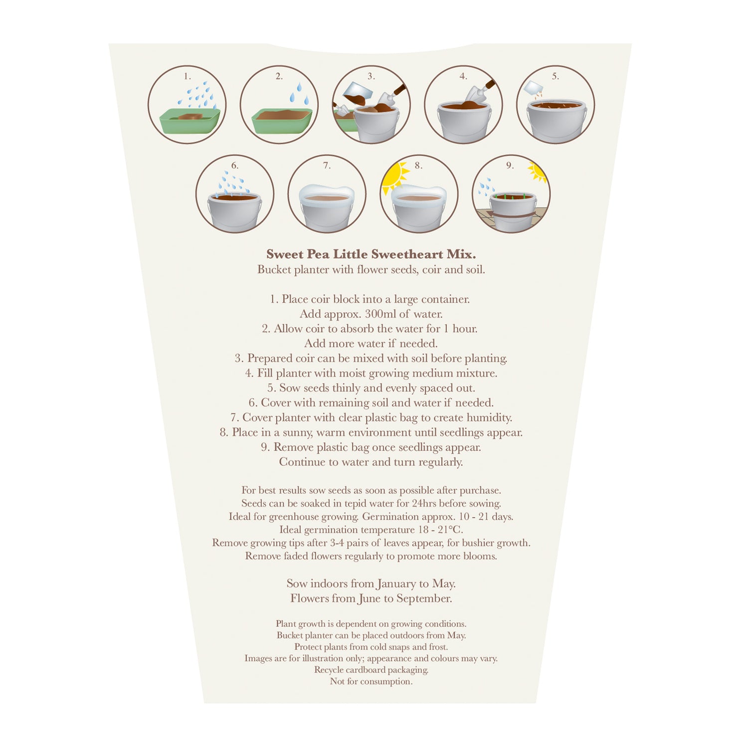 Beautifleur Sweet Pea Seeds Grow Kit in Galvanised Bucket Planter