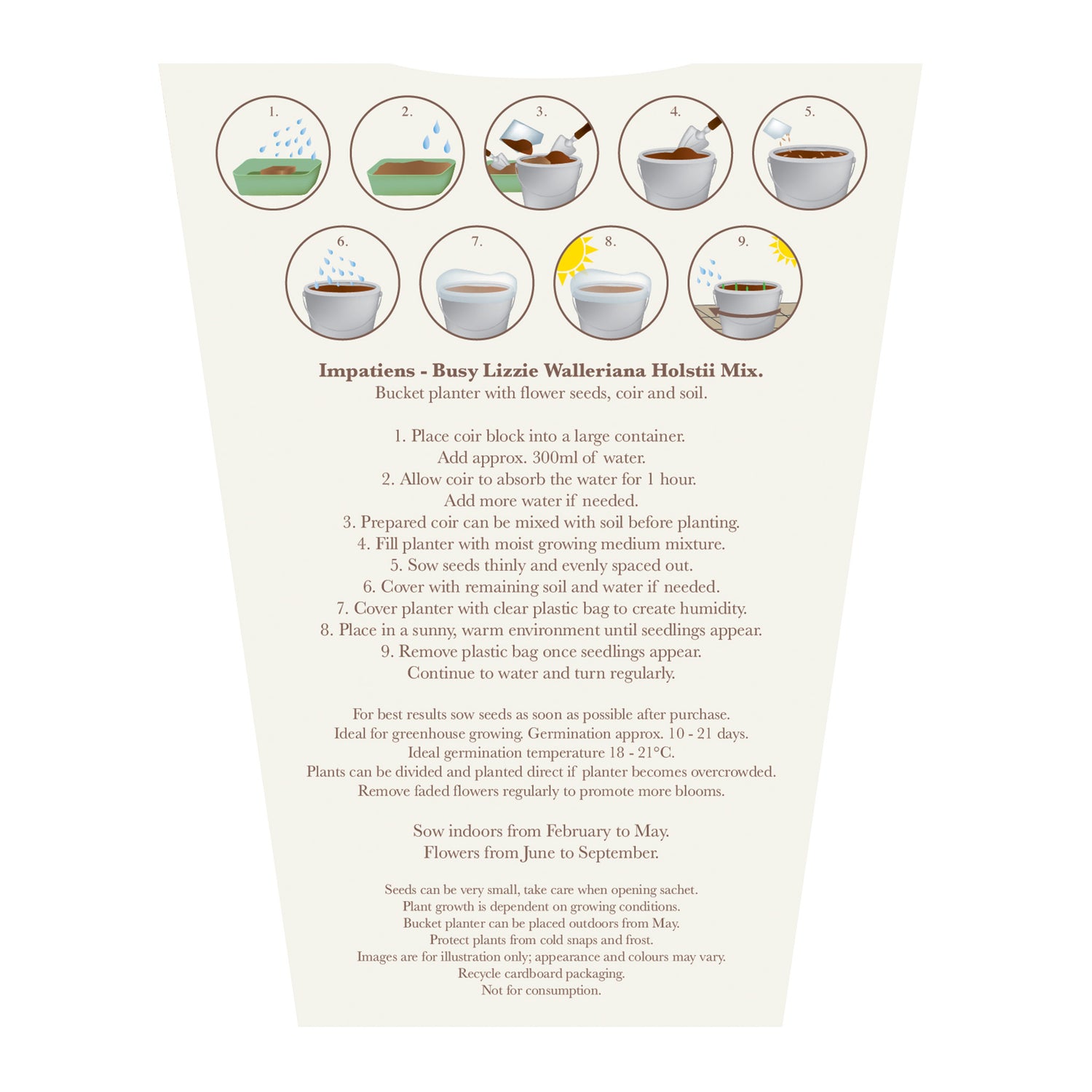 Beautifleur Busy Lizzie Seeds Grow Kit in Galvanised Bucket Planter