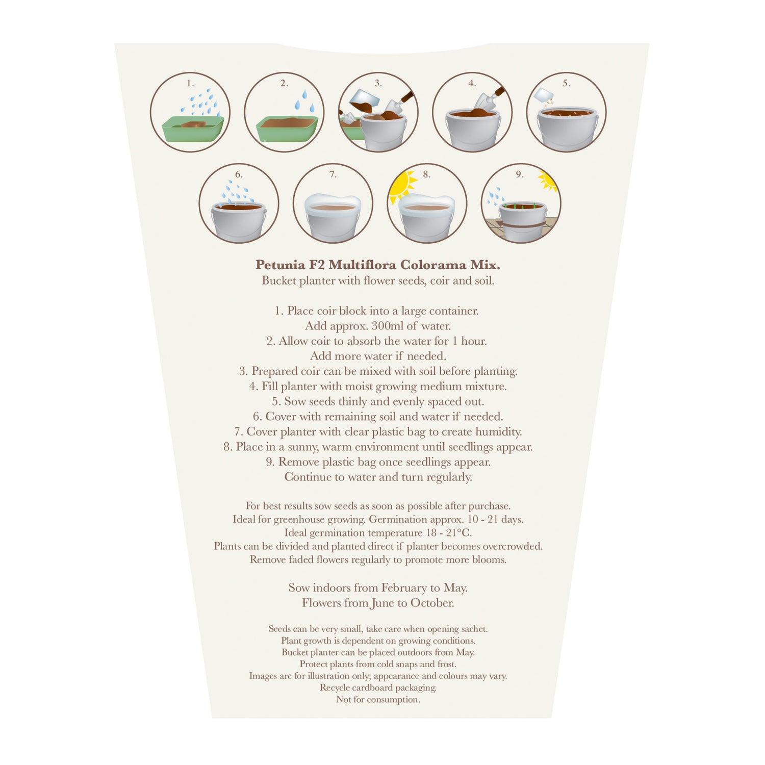 Beautifleur Petunia Seeds Grow Kit in Galvanised Bucket Planter