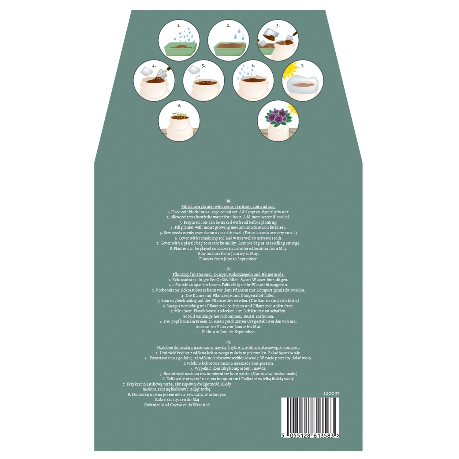 BEES Petunia Seeds Grow Kit in Cream Milkchurn Planter