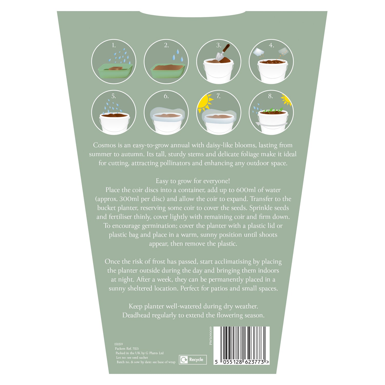 Sow Nurtured Cosmos Seeds Grow Kit in Cream Bucket Planter