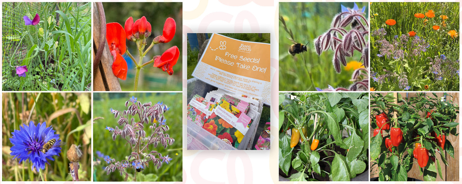 National Allotment Week