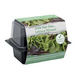 Speedy Seed® Lettuce Mini Propagator Grow Kit