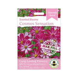 Speedy Seed® Max-Fill Cosmos Candy Stripe Mix – Up to 750 Seeds