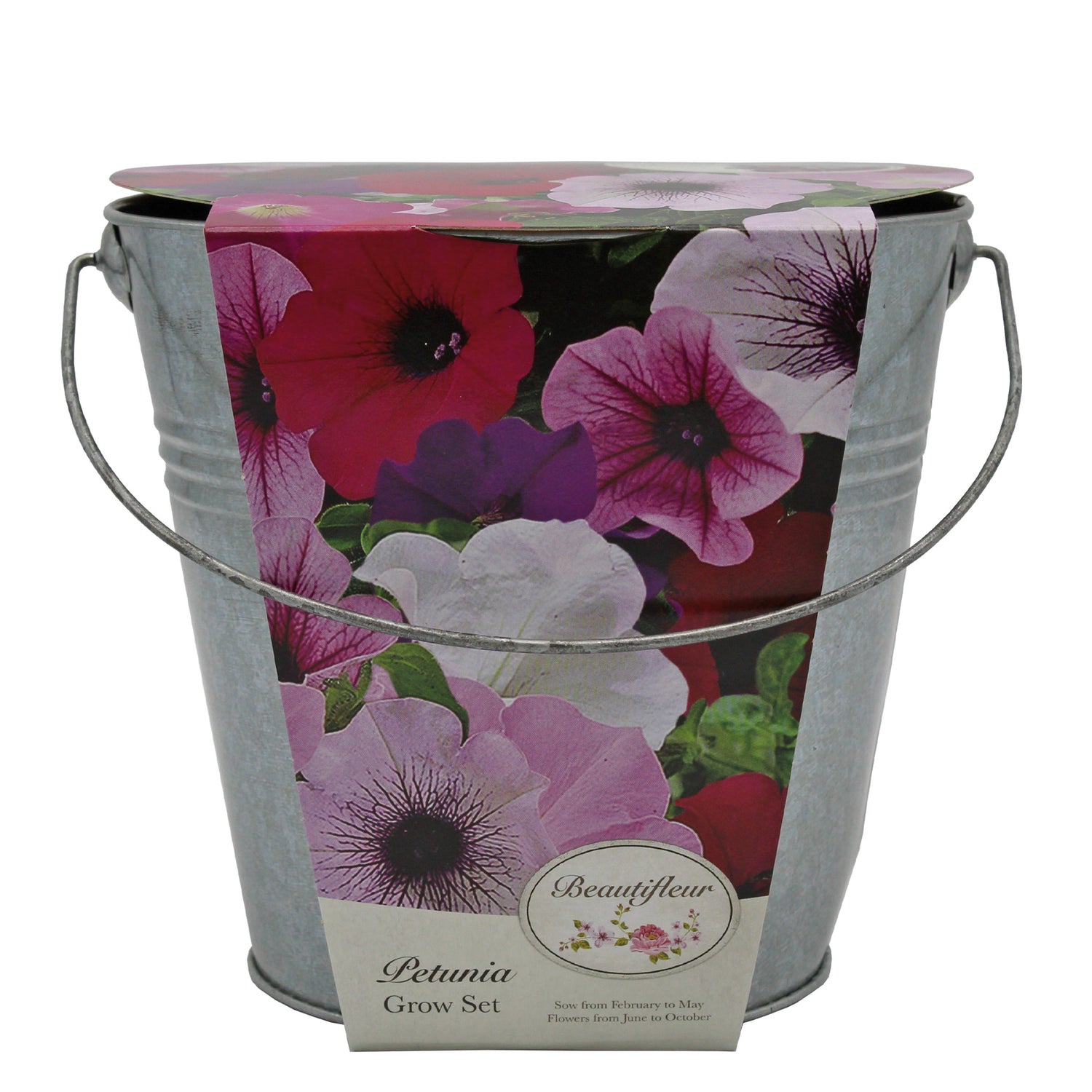 Beautifleur Petunia Seeds Grow Kit in Galvanised Bucket Planter