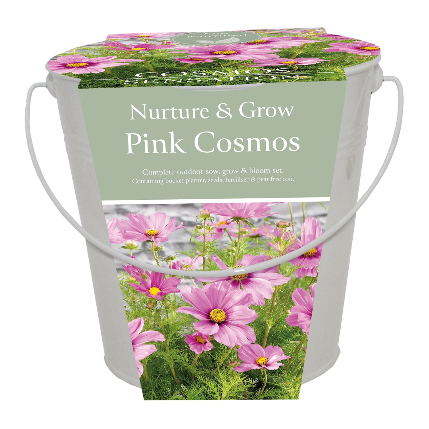 Sow Nurtured Cosmos Seeds Grow Kit in Cream Bucket Planter