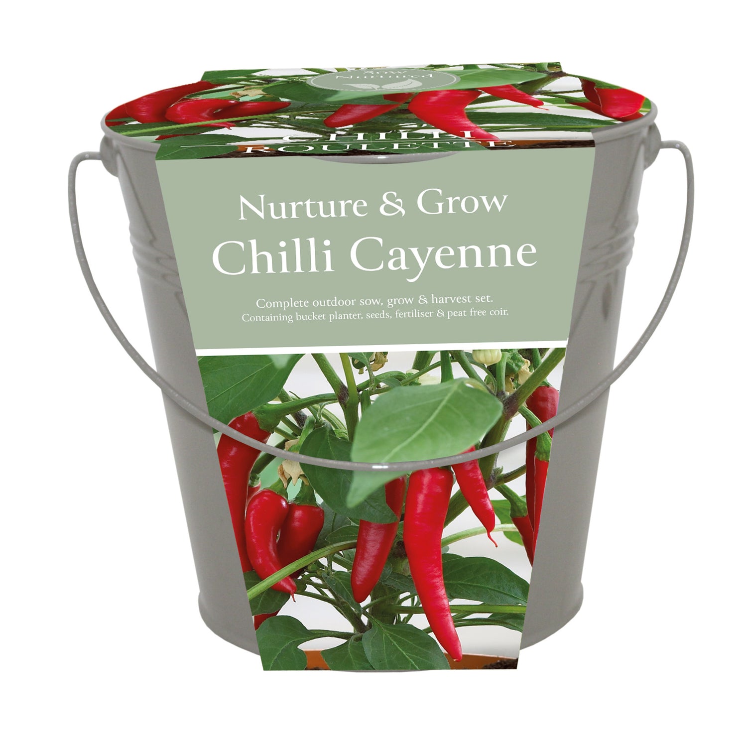 Sow Nurtured Cayenne Chilli Seeds Grow Kit in Grey Bucket Planter