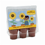 Speedy Seed® Sunflower Seeds Sunflower Race Grow Kit