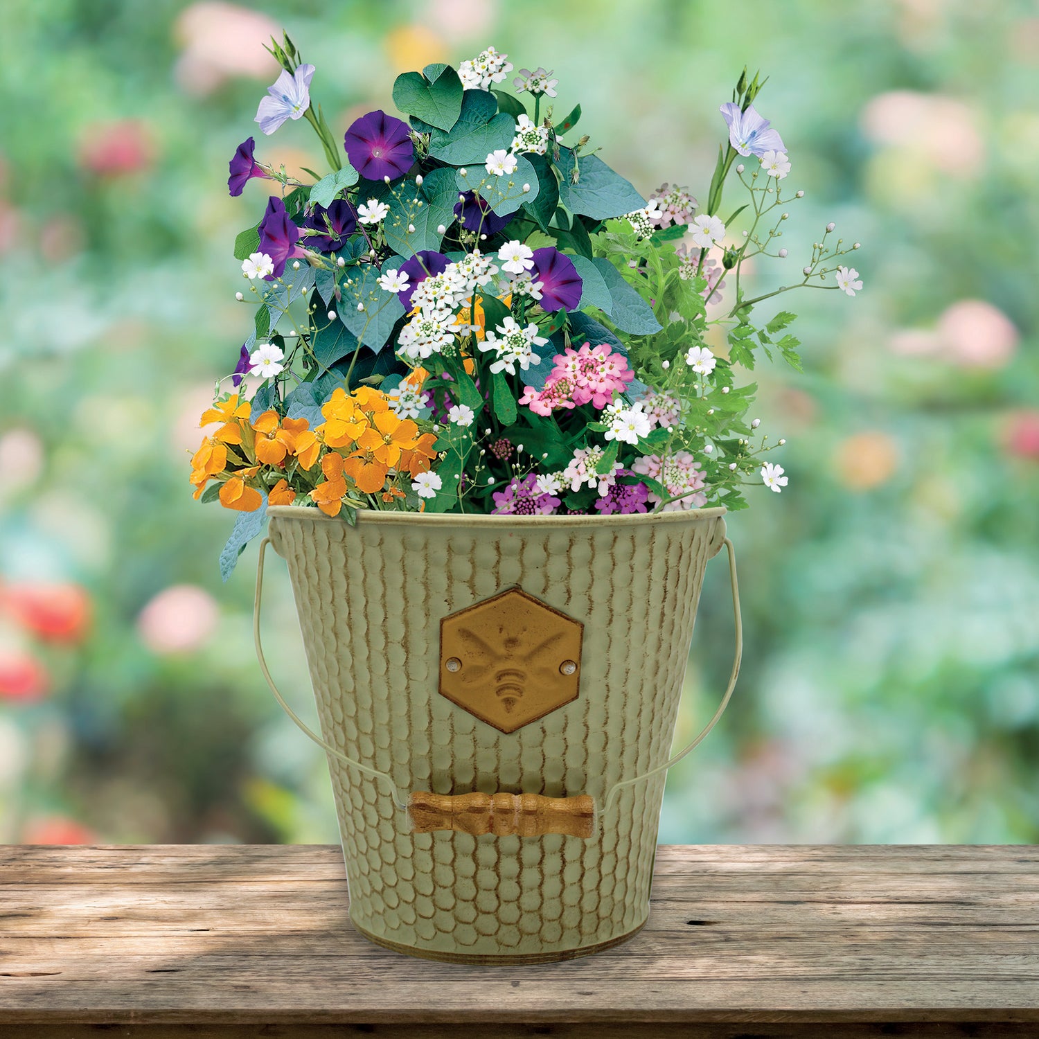 Bee Friends Wildflower Seeds Grow Your Own Kit in Honeycomb Bucket Planter