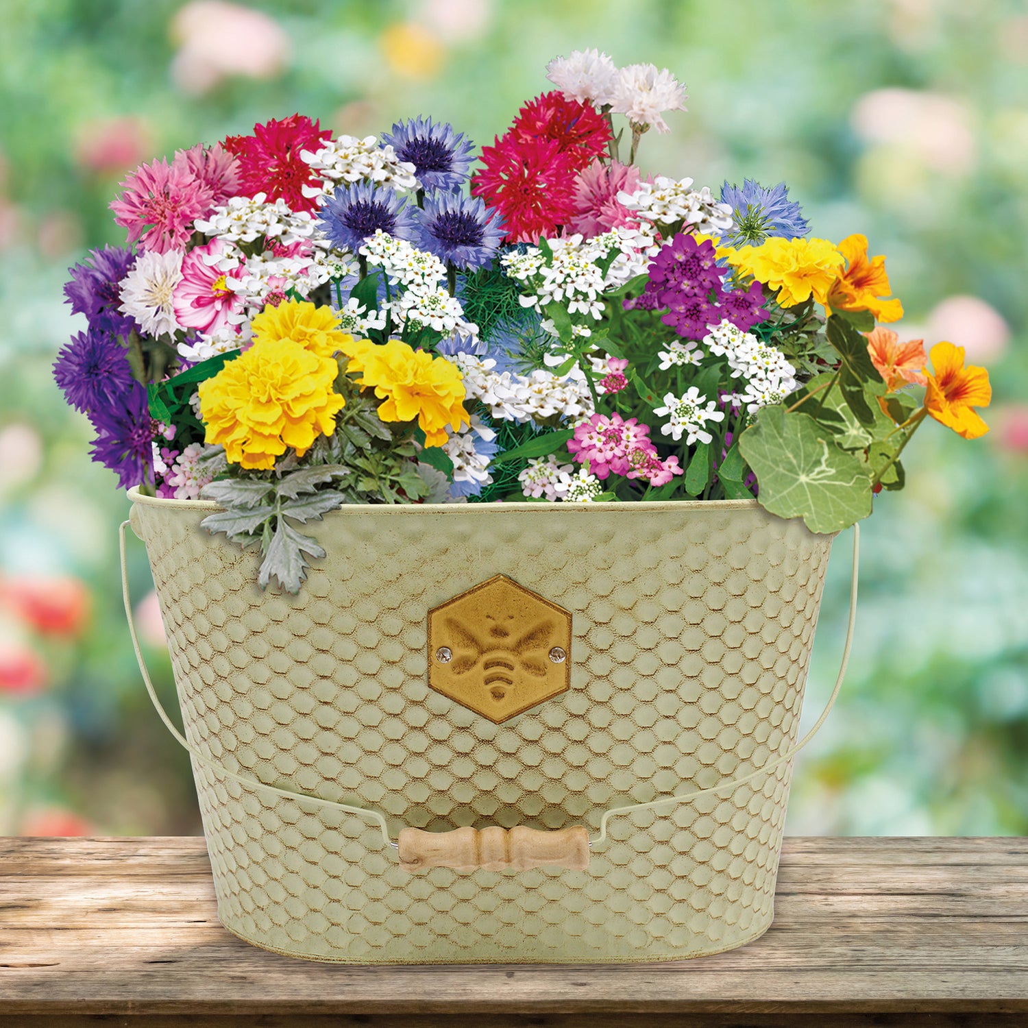 Bee Friends Wildflower Seeds Grow Kit in Honeycomb Trough Planter