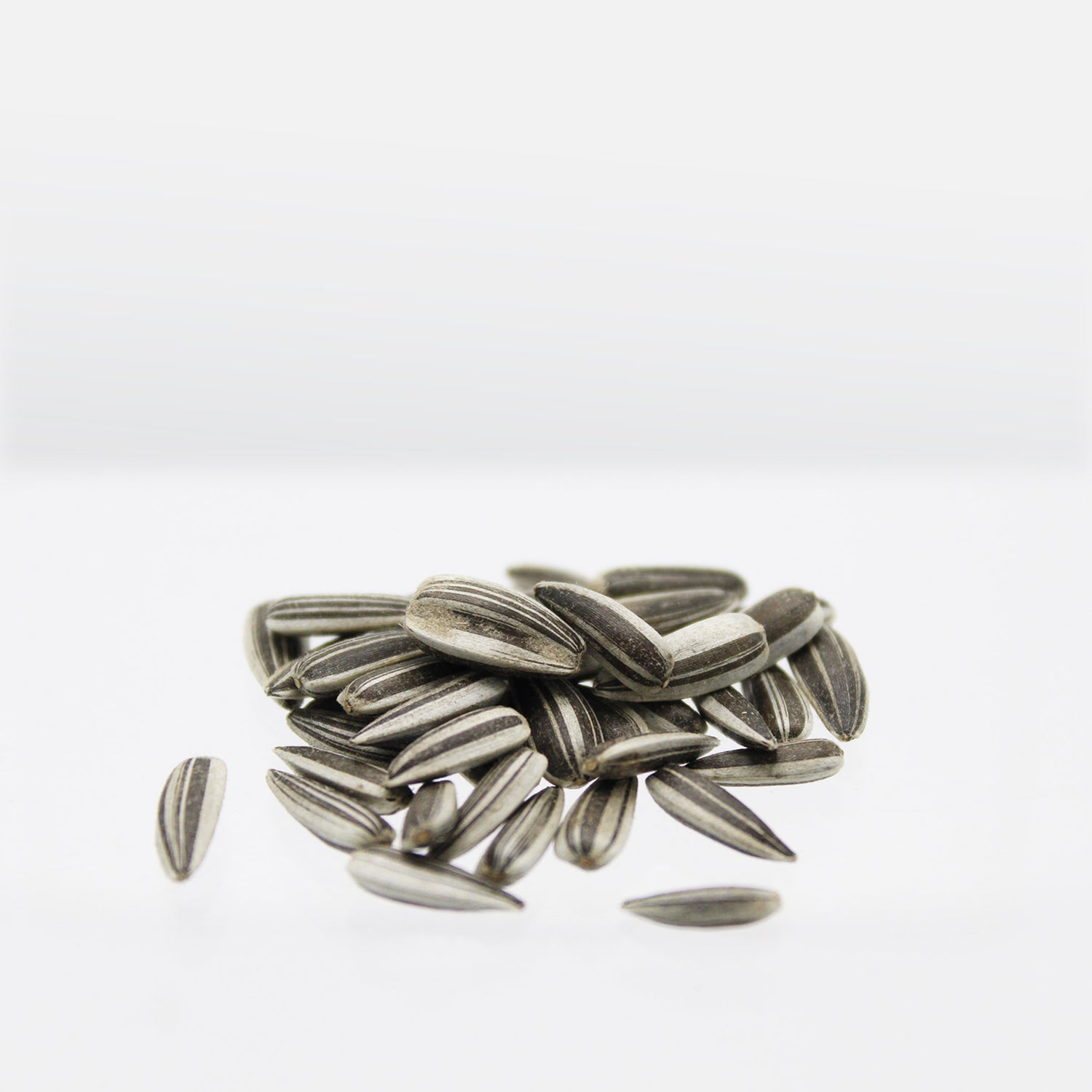 Speedy Seed® Max-Fill Giant Sunflowers – Over 100 Seeds