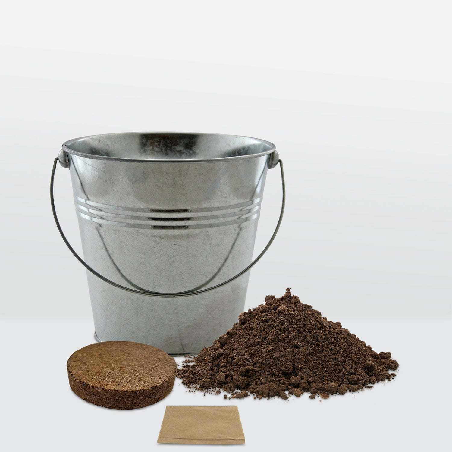 Beautifleur Sweet Pea Seeds Grow Kit in Galvanised Bucket Planter