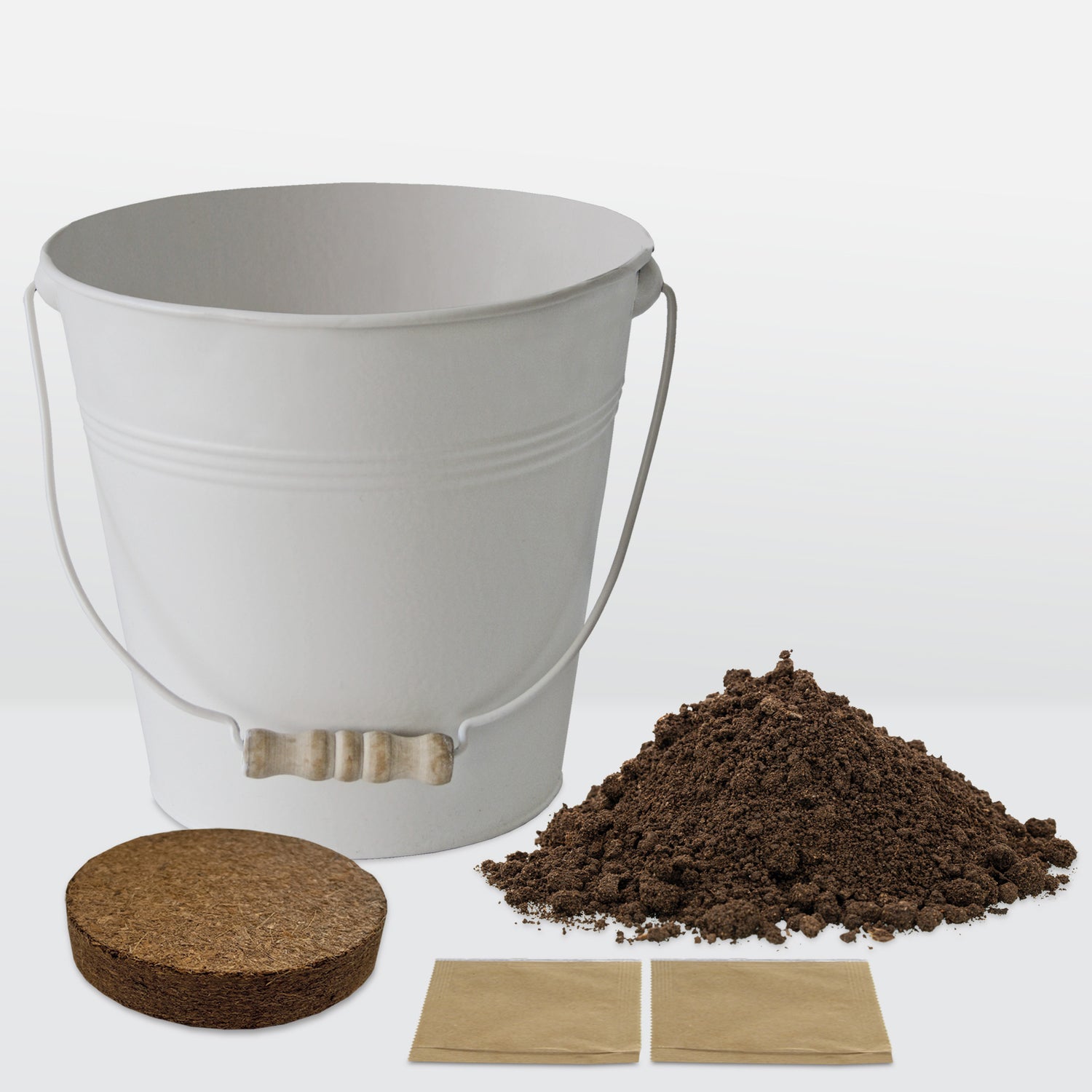 BEES Sweet Pea Seeds Grow Kit in Cream Bucket Planter