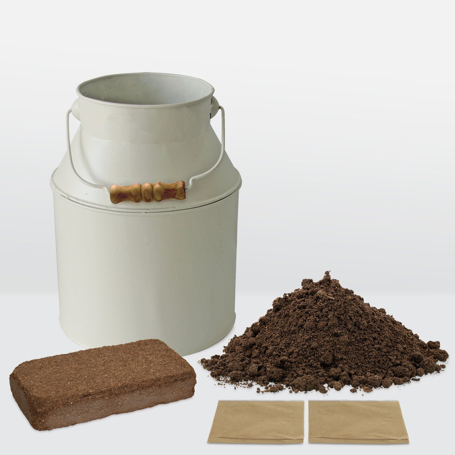 BEES Petunia Seeds Grow Kit in Cream Milkchurn Planter