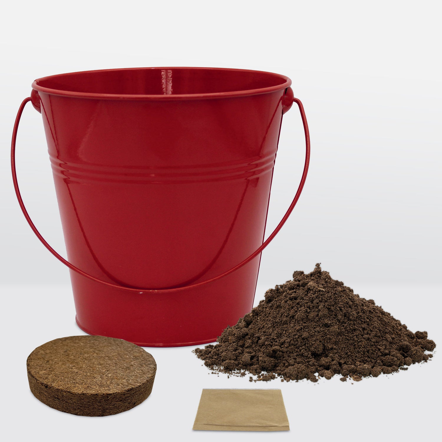 Sow Nurtured Cayenne Chilli Seeds Grow Kit in Red Bucket Planter