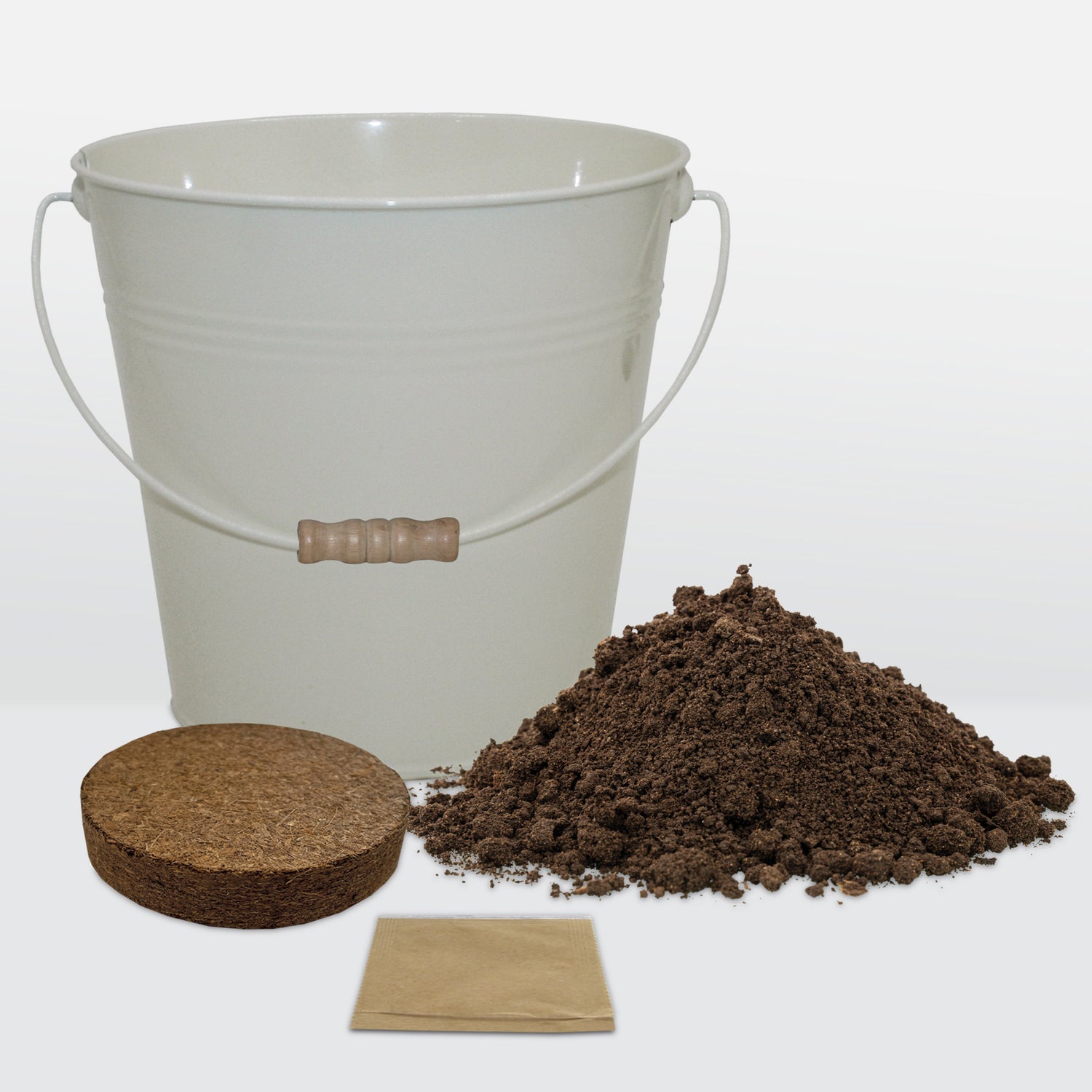 Marie Curie Pollinator Flower Seeds Grow Kit in Cream Bucket Planter