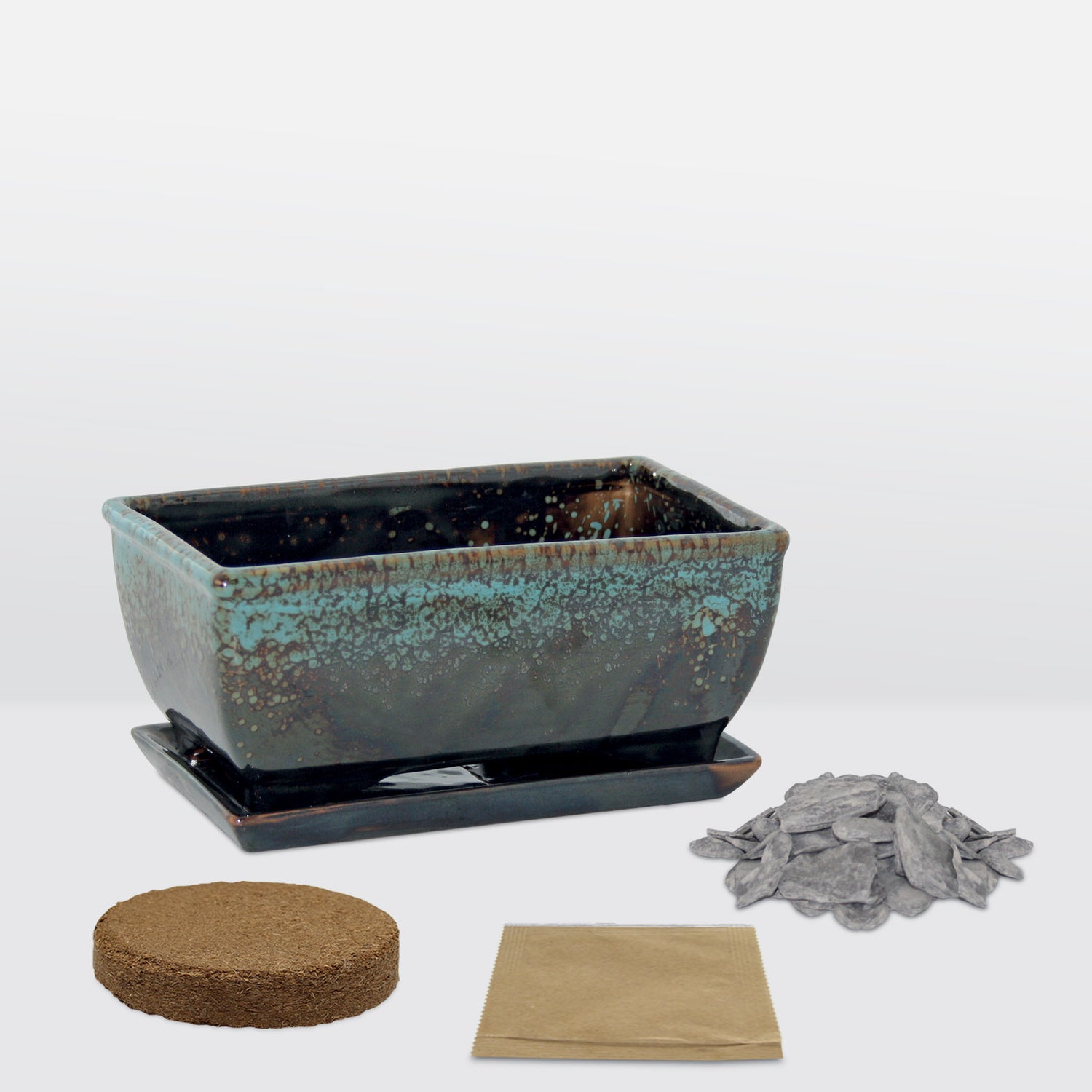 Sow Nurtured Bonsai Pine & Sweet Gum Seeds Grow Kit in Traditional Bonsai Pot