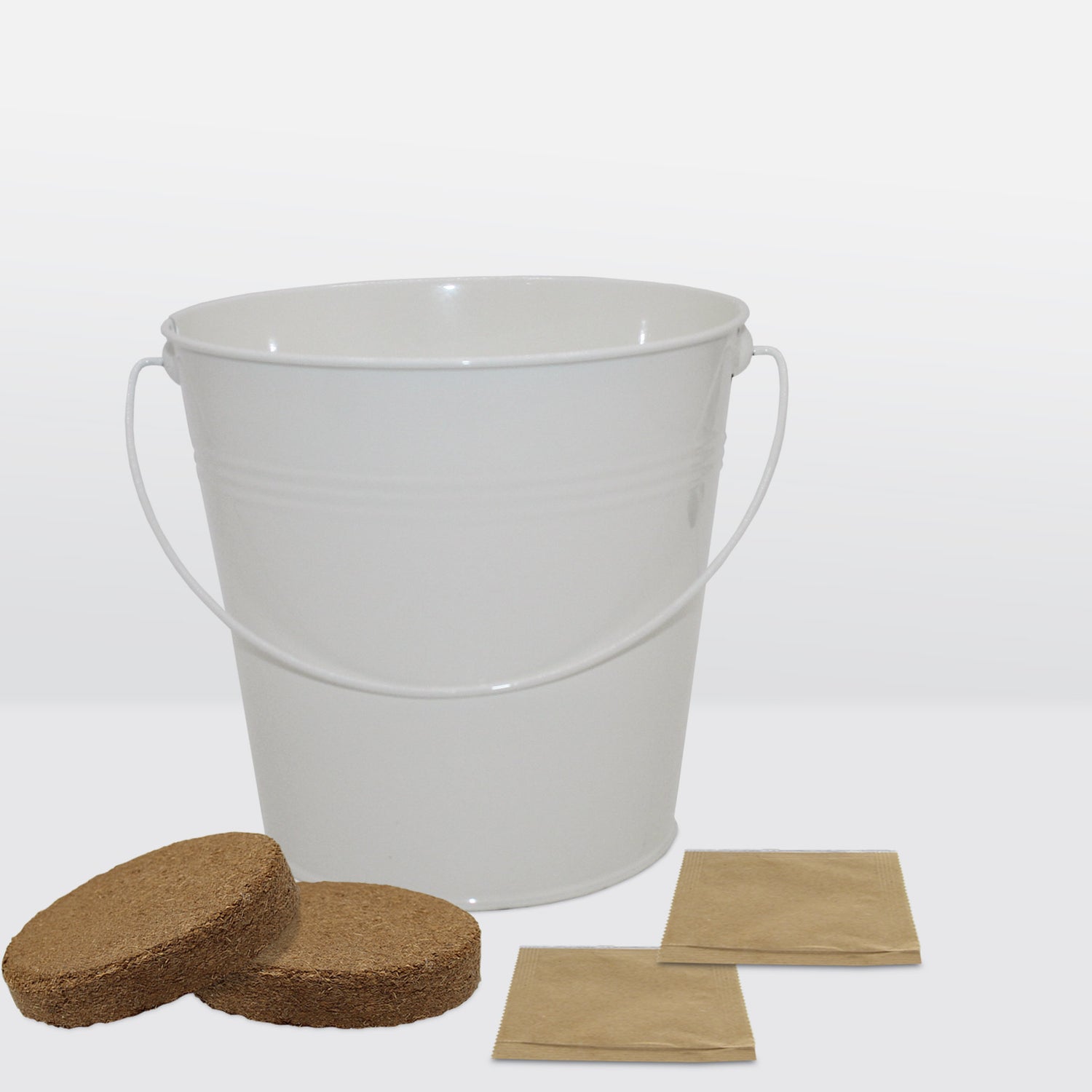 Sow Nurtured Cosmos Seeds Grow Kit in Cream Bucket Planter