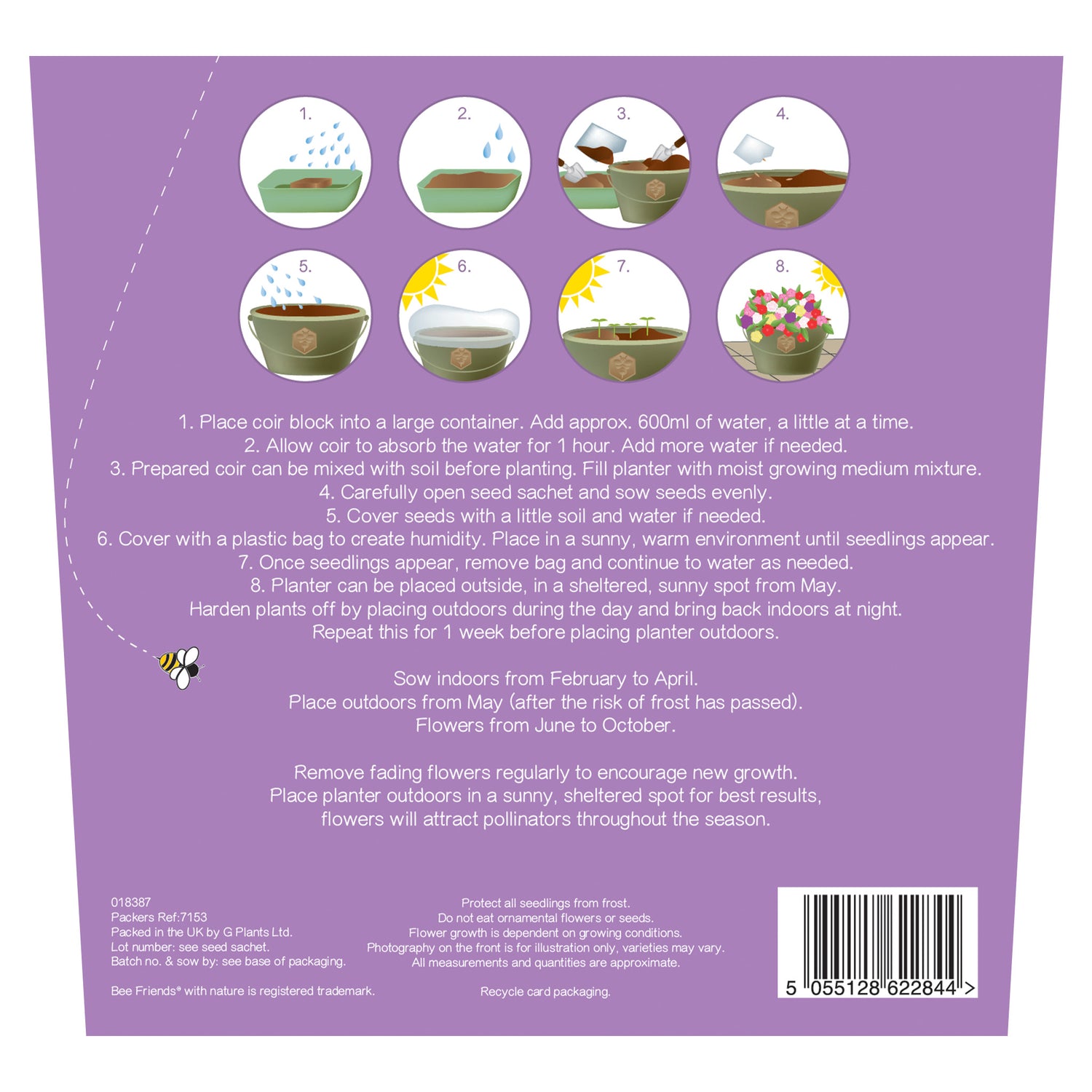 Bee Friends Wildflower Seeds Grow Kit in Honeycomb Trough Planter