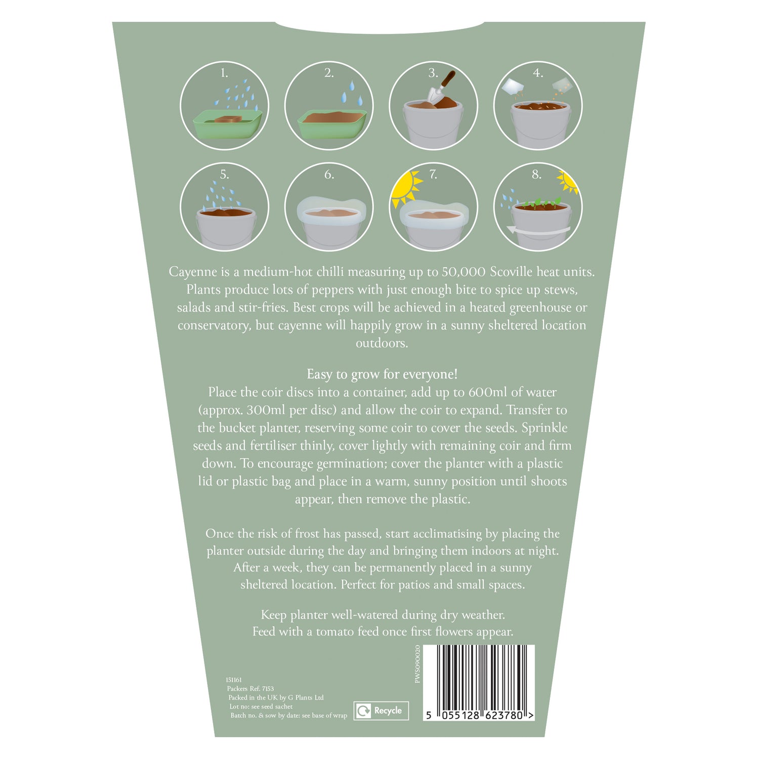 Sow Nurtured Cayenne Chilli Seeds Grow Kit in Grey Bucket Planter