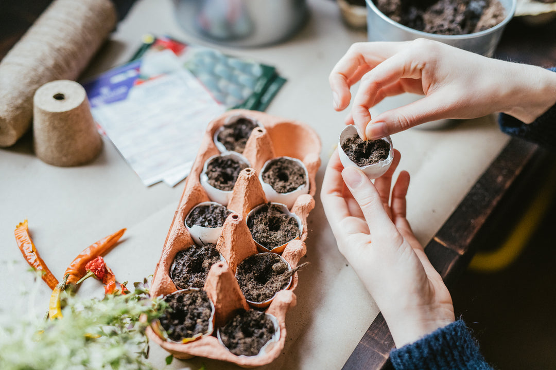 Creative Growing